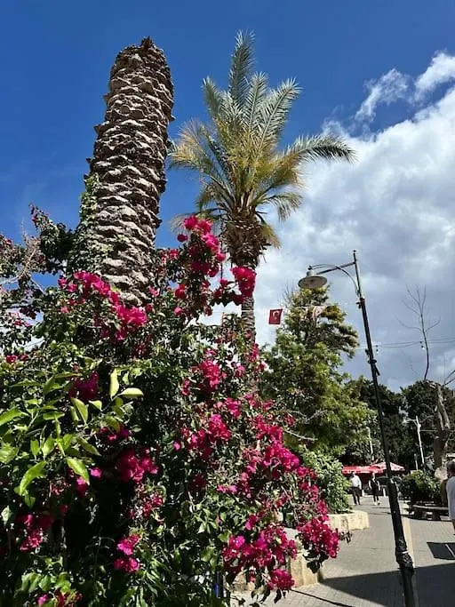 Your Place For Relax Larnaca Cyprus